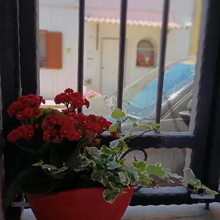House Apartment